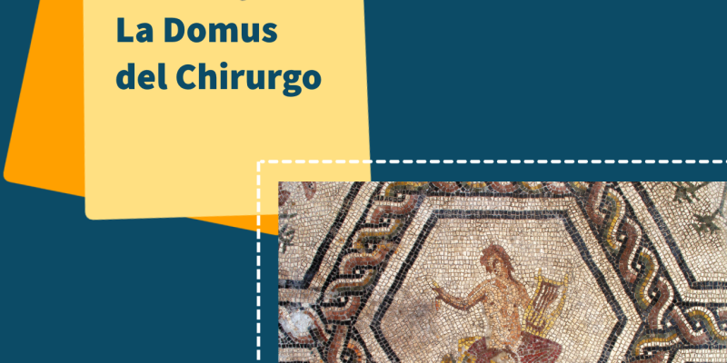 Domus del Chirurgo